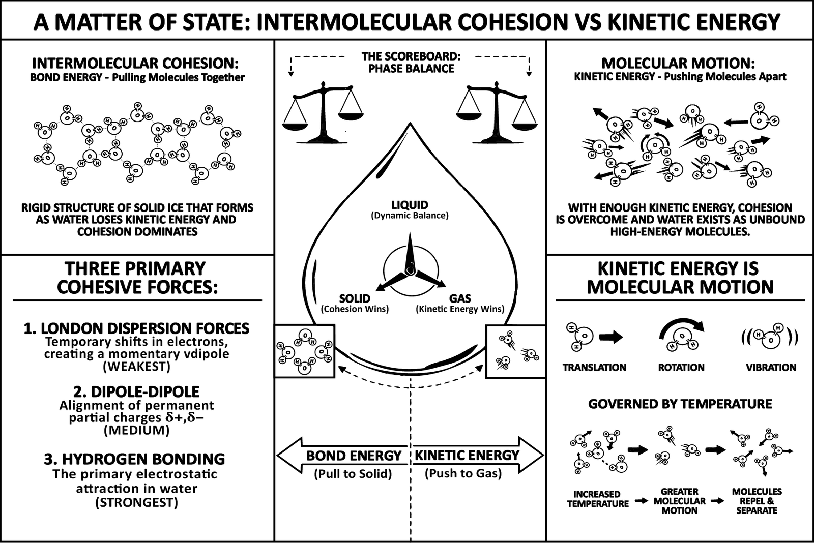 A balance weighing bond energy pulling molecules together against kinetic energy pushing them apart, with solid, liquid, and gas as the three outcomes, and the three cohesive forces ranked from London dispersion up to hydrogen bonding.