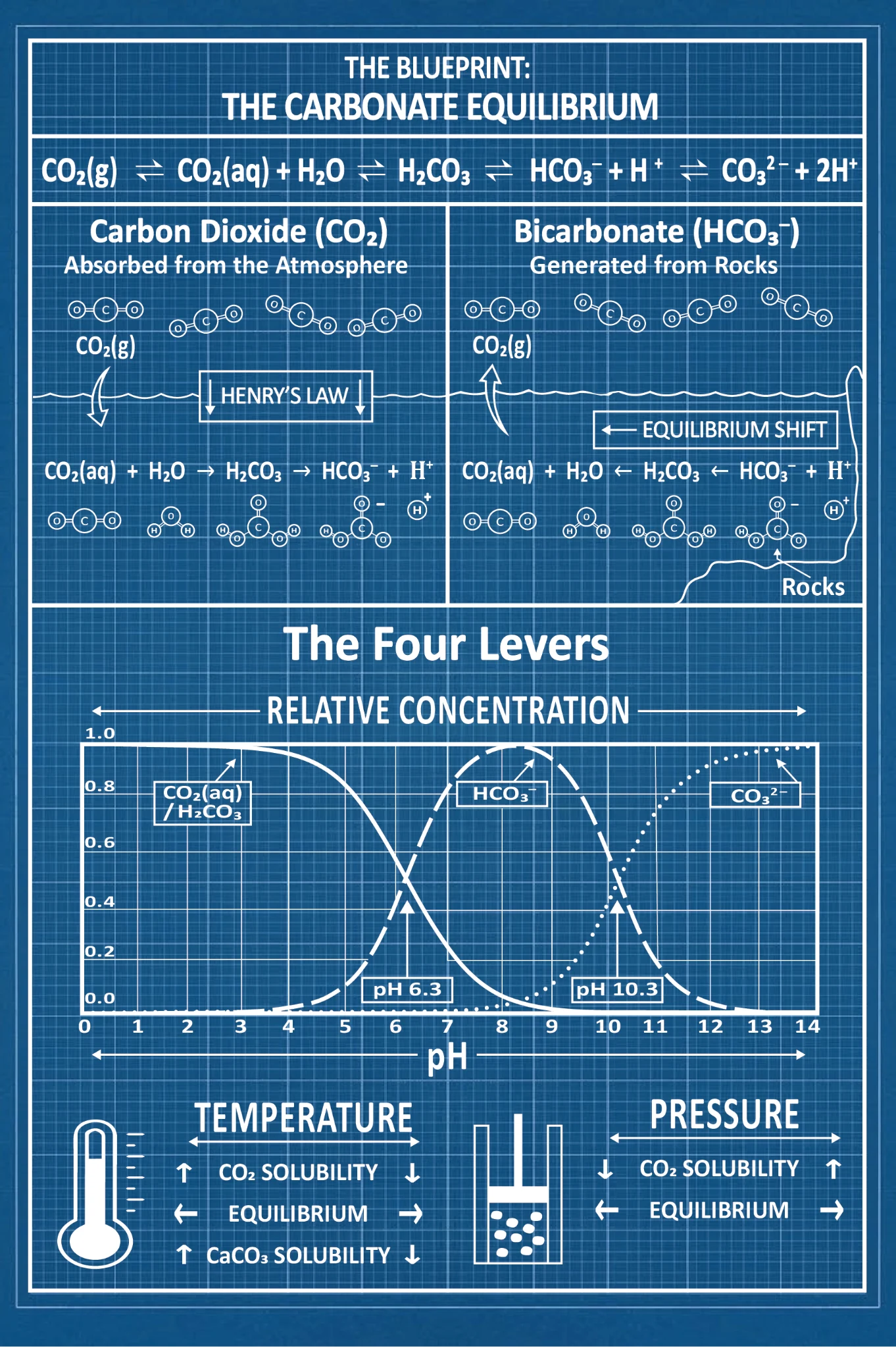 A full page blueprint plate carrying the whole carbonate chain, both routes into it, the speciation curve, and the four levers of concentration, temperature, and pressure that move it.