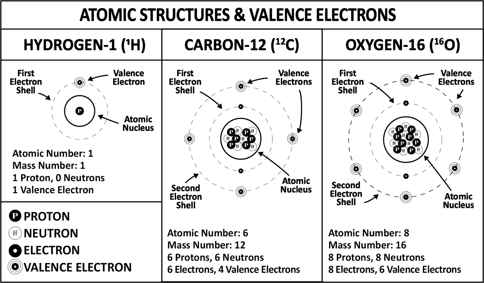 Shell diagrams of hydrogen-1, carbon-12, and oxygen-16 side by side, each labelled with its nucleus, electron shells, and valence electrons, with atomic number, mass number, and electron counts listed beneath.