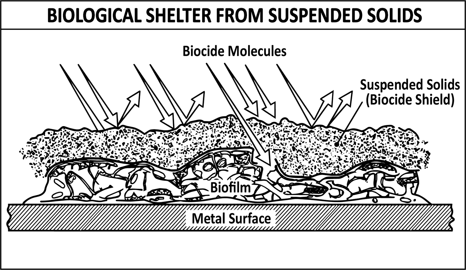 Biocide molecules arriving at a metal surface and being turned away by a layer of suspended solids lying over the biofilm, which survives underneath.