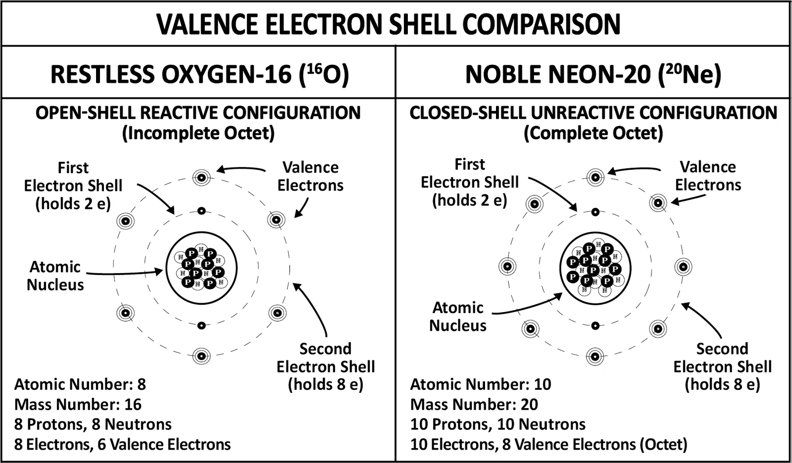 Oxygen-16 with an incomplete outer shell of six valence electrons beside neon-20 with a complete octet, contrasting a reactive open shell against an unreactive closed one.